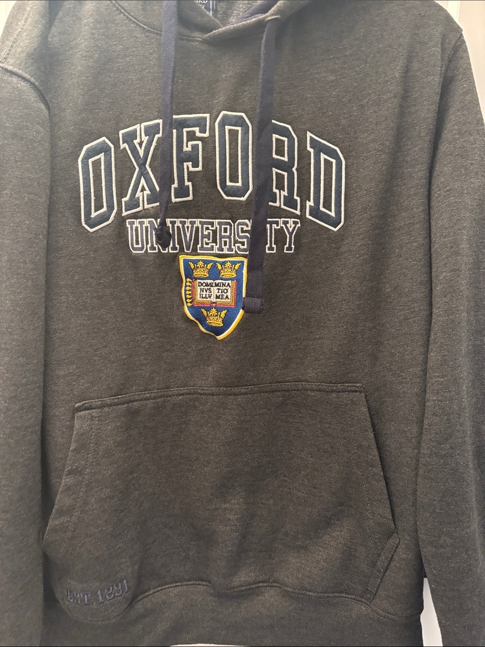 Oxford University Embroidered Dark Gray Hoodie